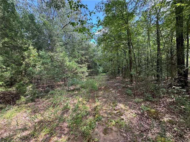 $500,000 | 1324 Highway 81, Calhoun Falls, SC 29628