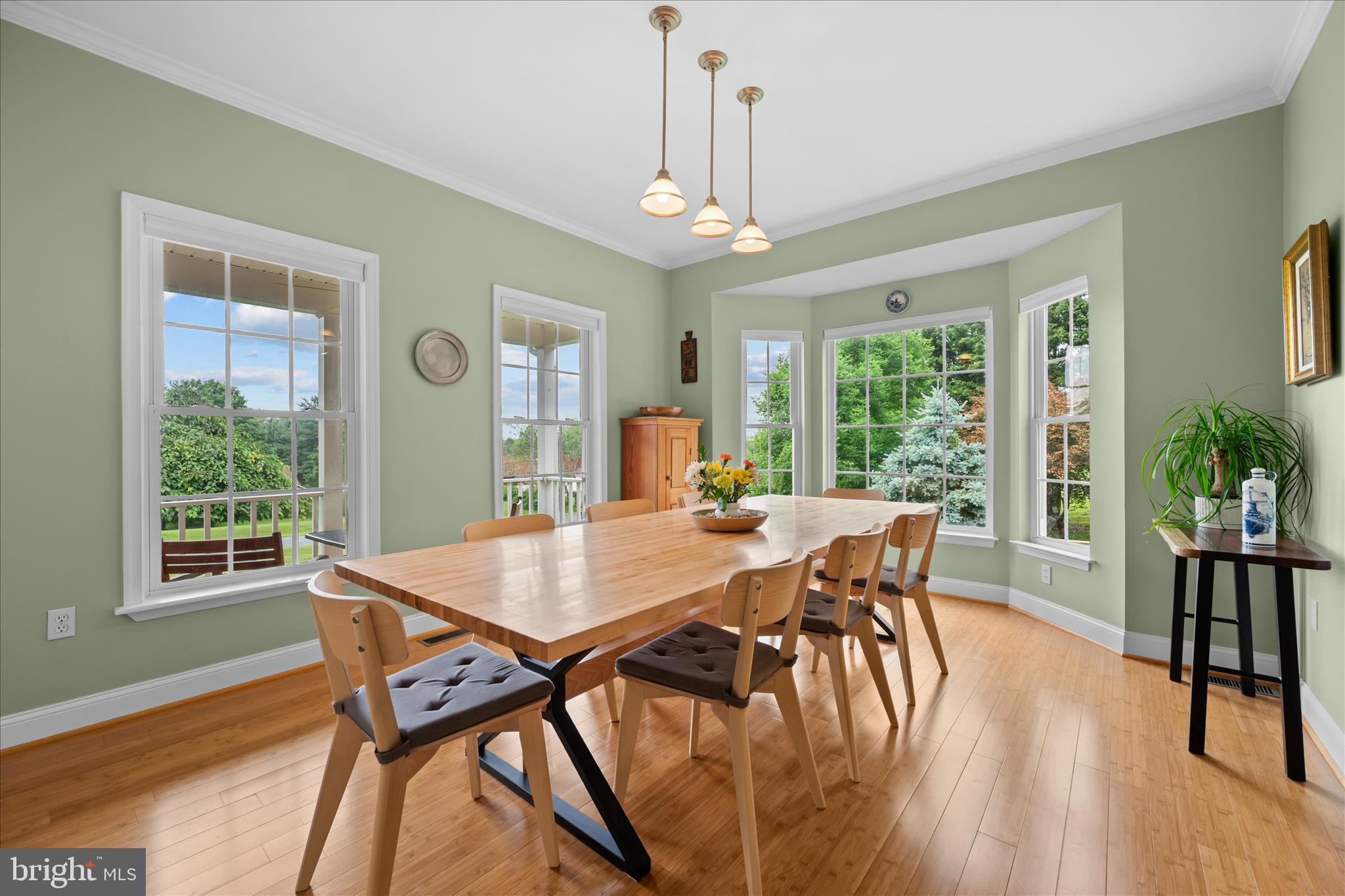 12110 Merricks Court Monrovia, MD 21770 - Photo 20 of 113 Dining Room