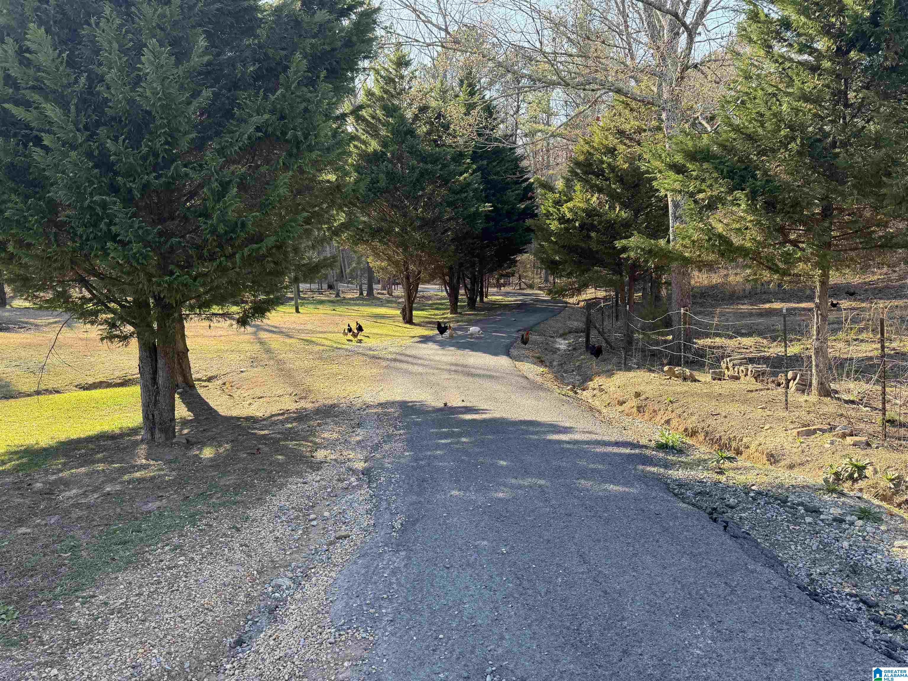 2286 Dee Nix Road Altoona, AL 35952 - Photo 63 of 65