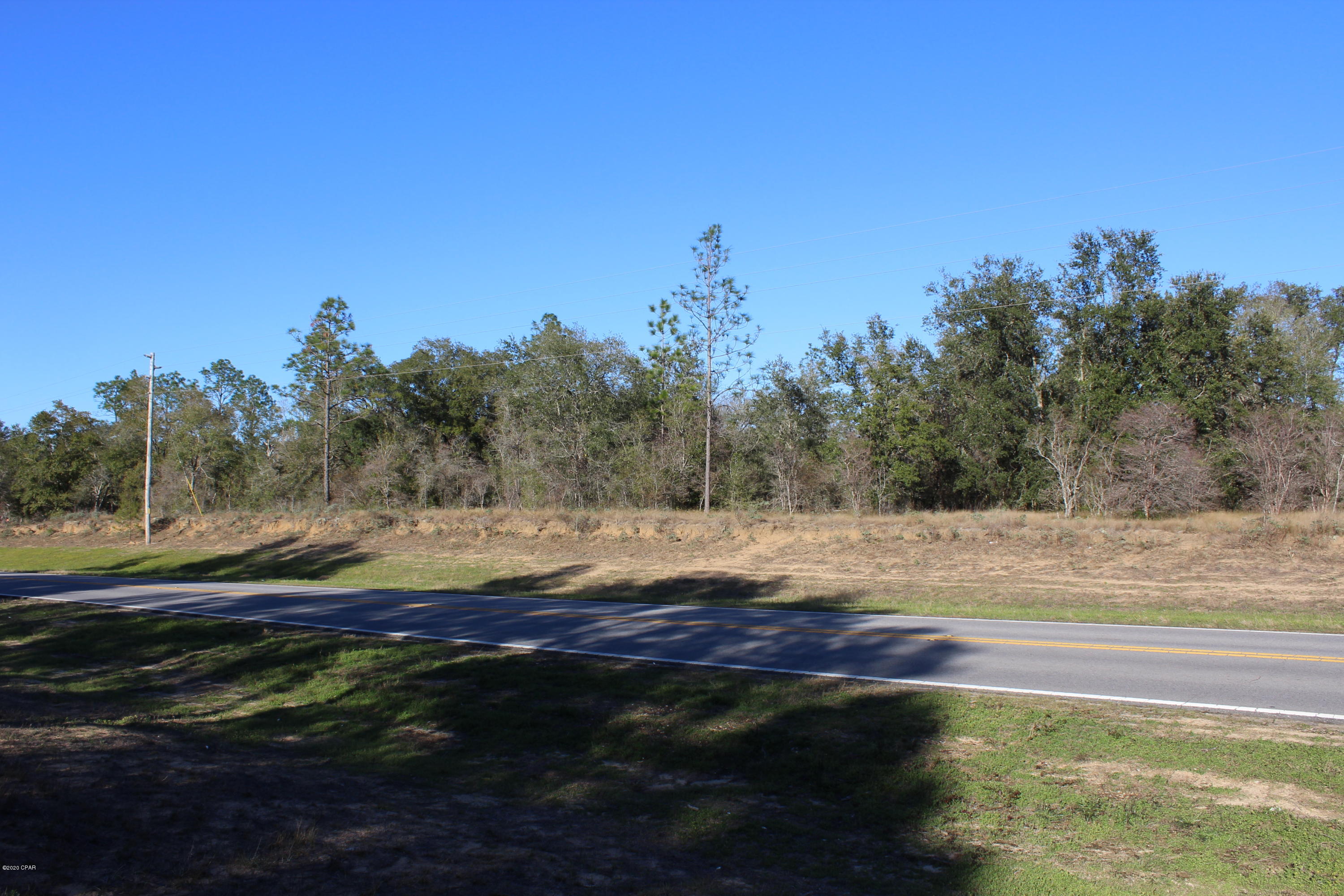 12.2 Moss Hill Road Chipley, FL 32428 - Photo 4 of 8 Gallery Image 4