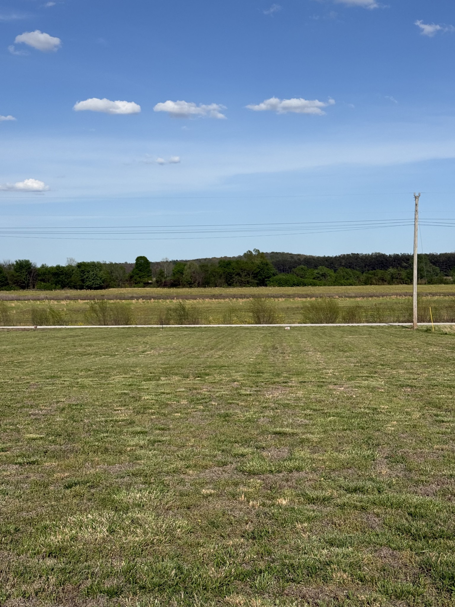 1781 Hardin Bottom River Road Clifton, TN 38425 - Photo 11 of 21