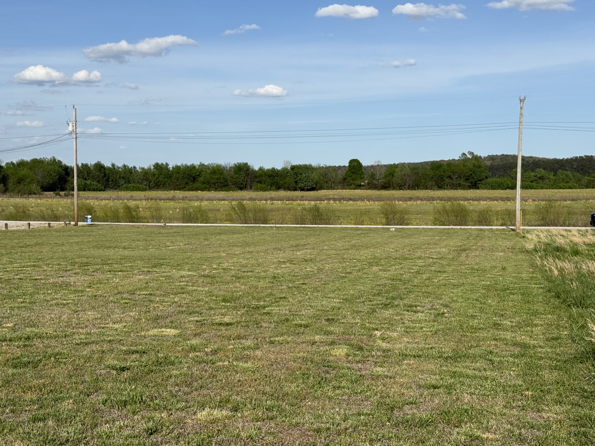 1781 Hardin Bottom River Road Clifton, TN 38425 - Photo 12 of 21