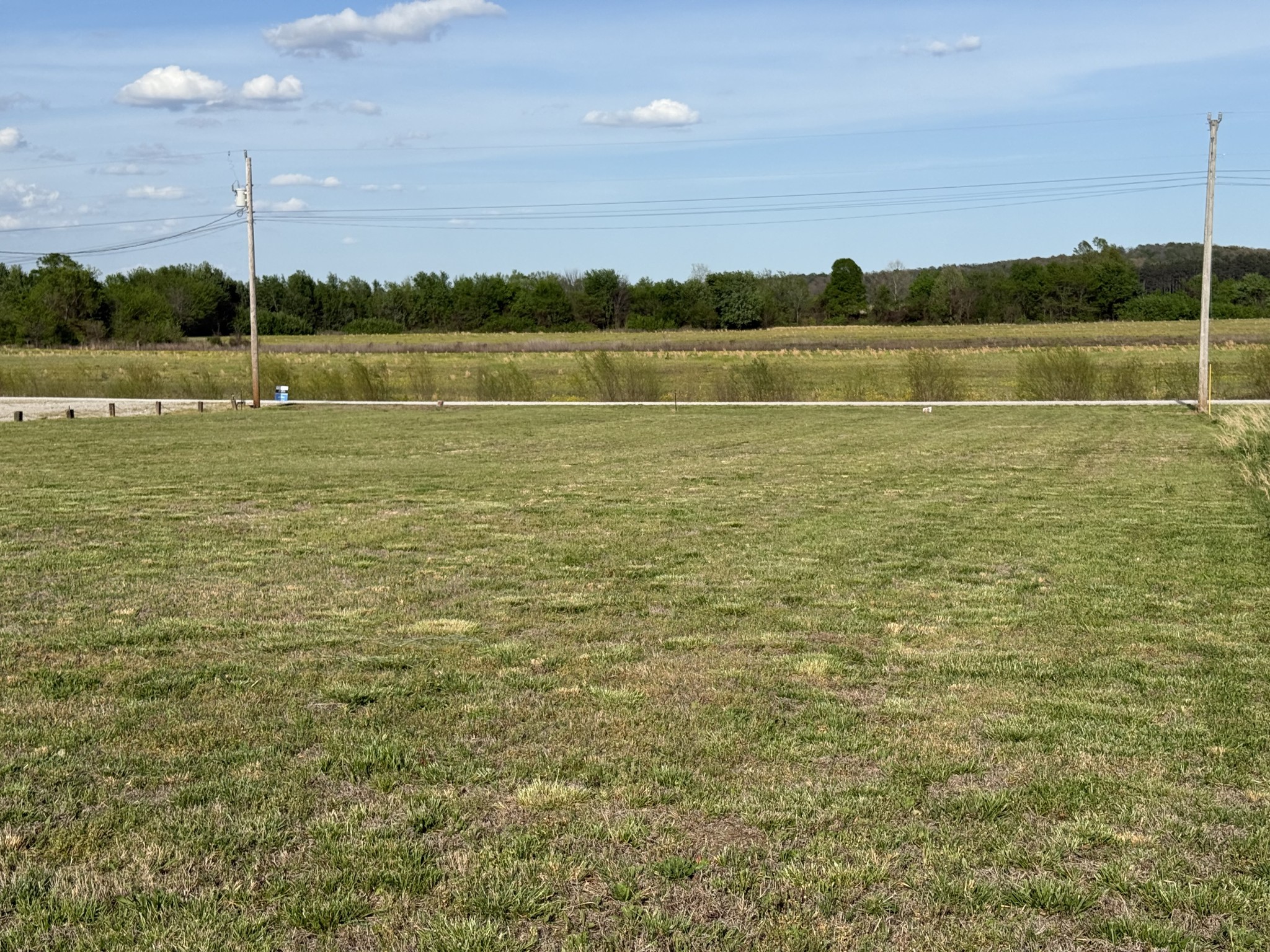 1781 Hardin Bottom River Road Clifton, TN 38425 - Photo 13 of 21