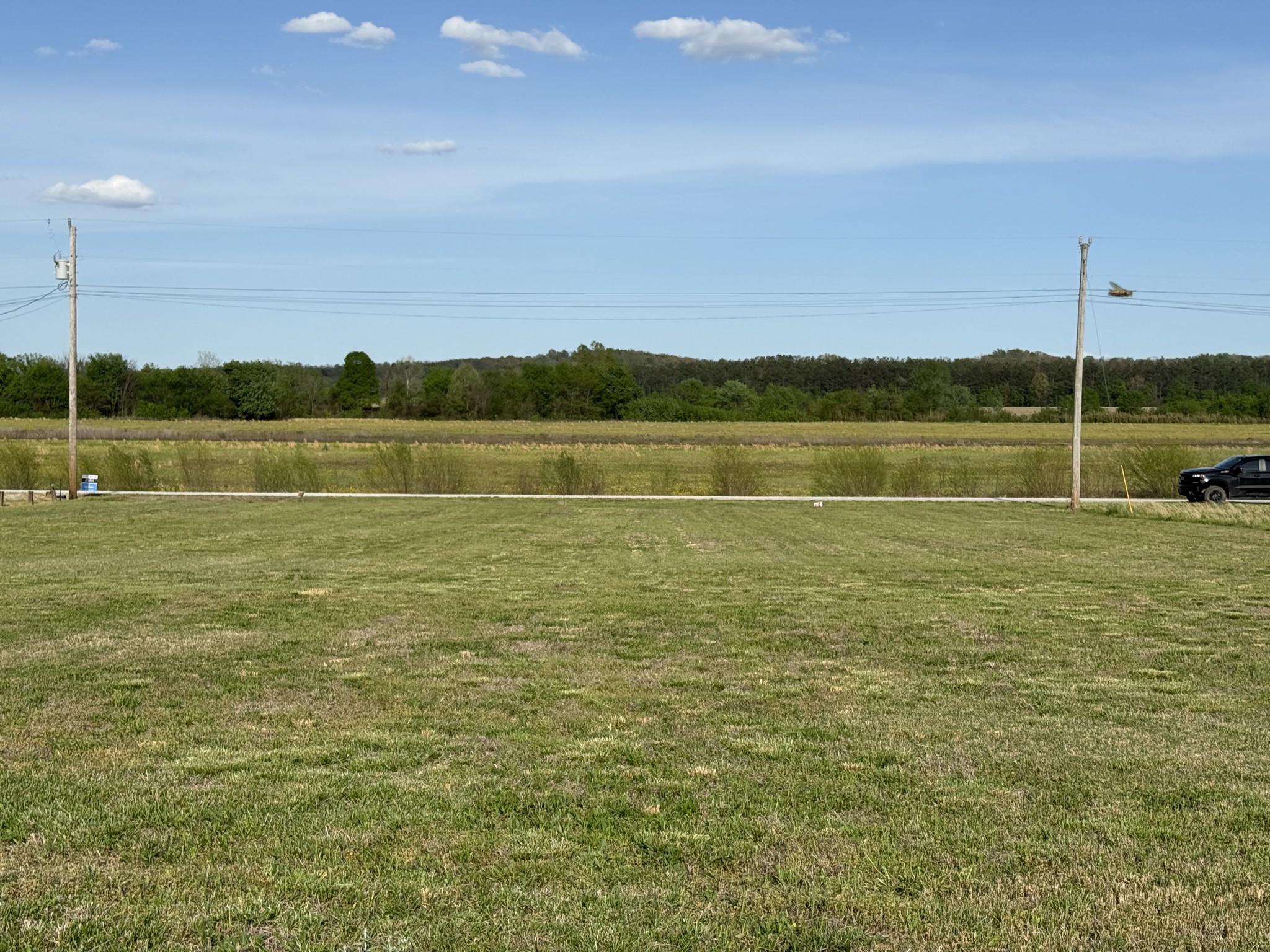 1781 Hardin Bottom River Road Clifton, TN 38425 - Photo 14 of 21