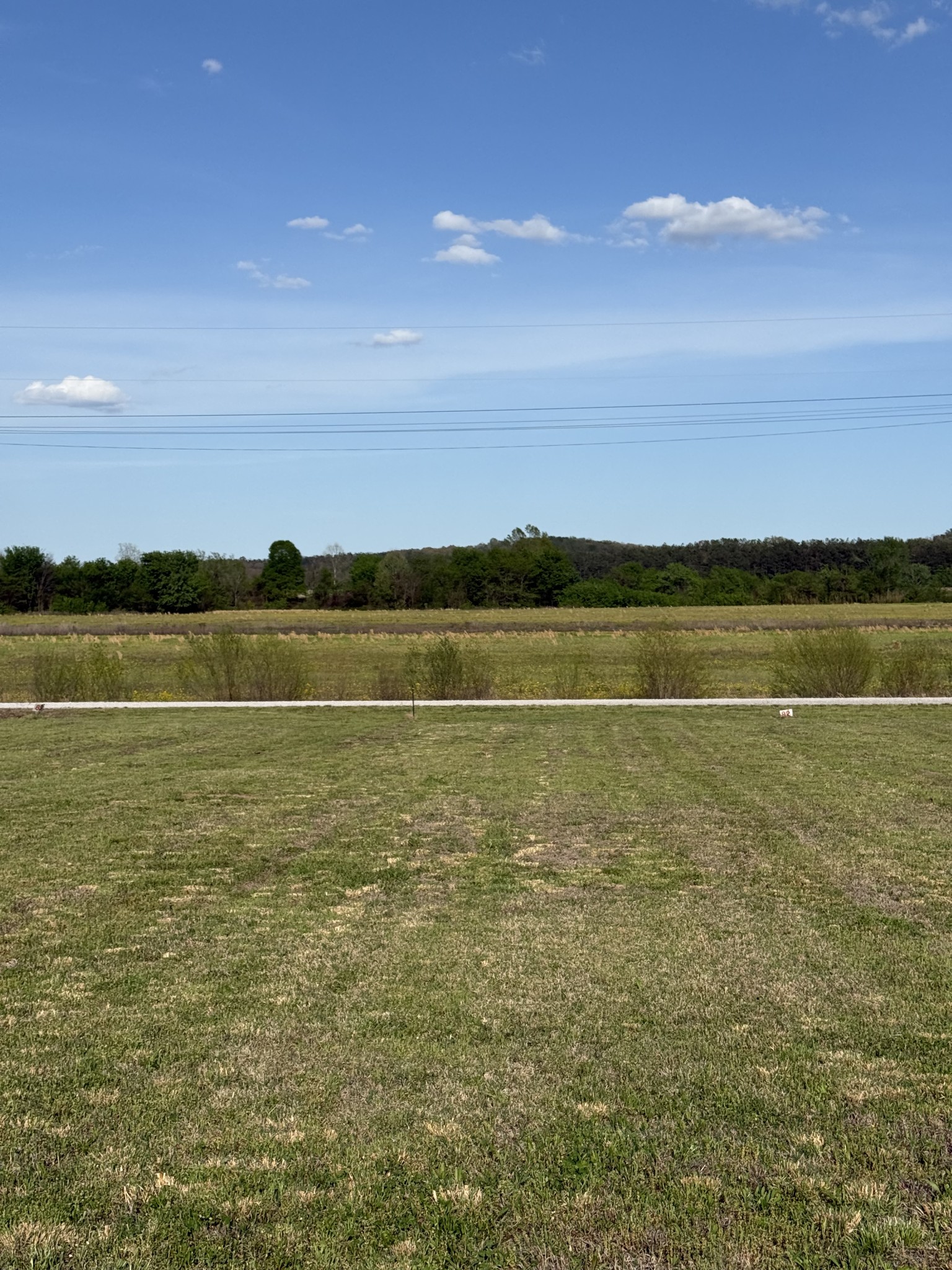 1781 Hardin Bottom River Road Clifton, TN 38425 - Photo 15 of 21