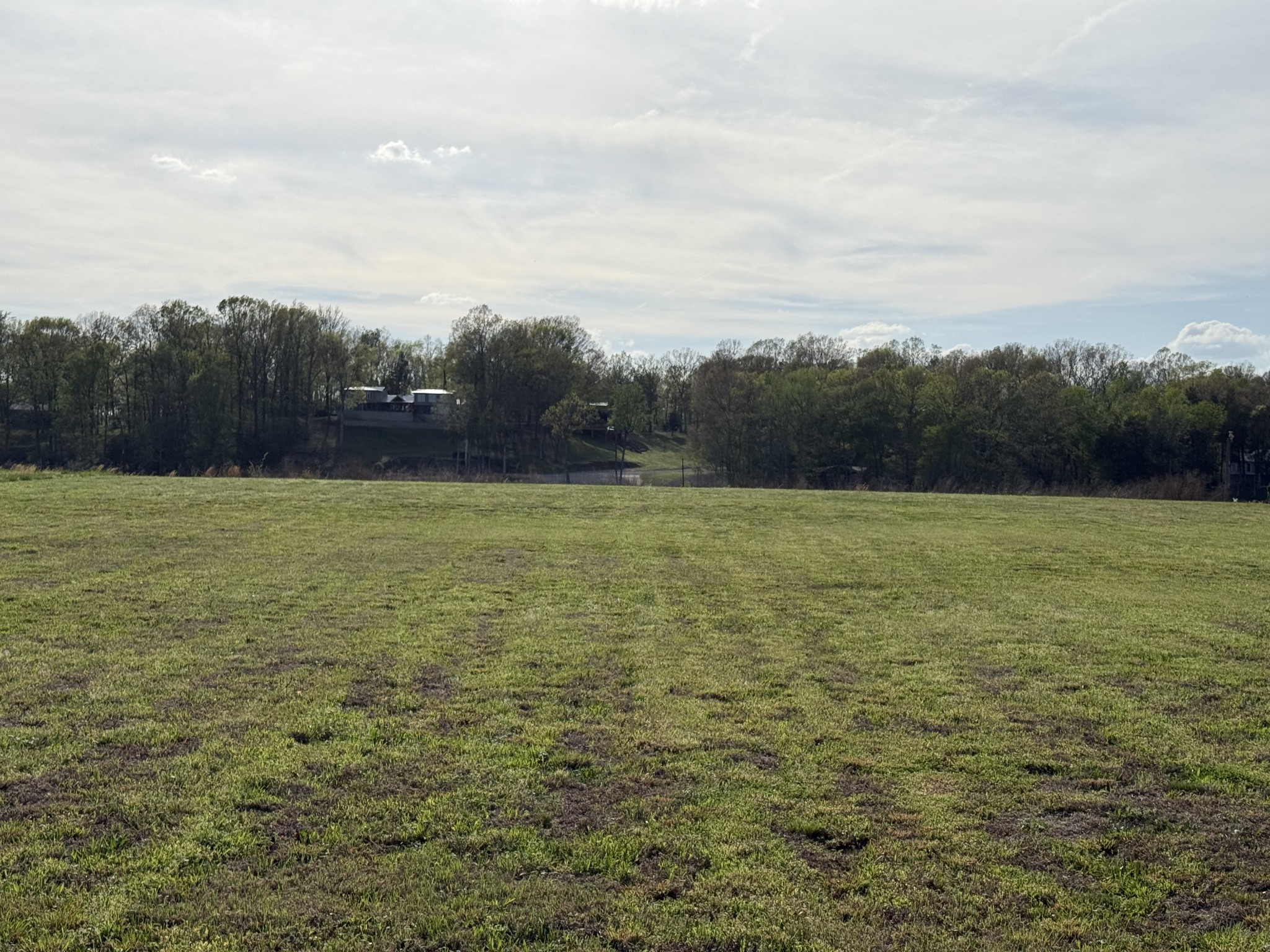 1781 Hardin Bottom River Road Clifton, TN 38425 - Photo 19 of 21