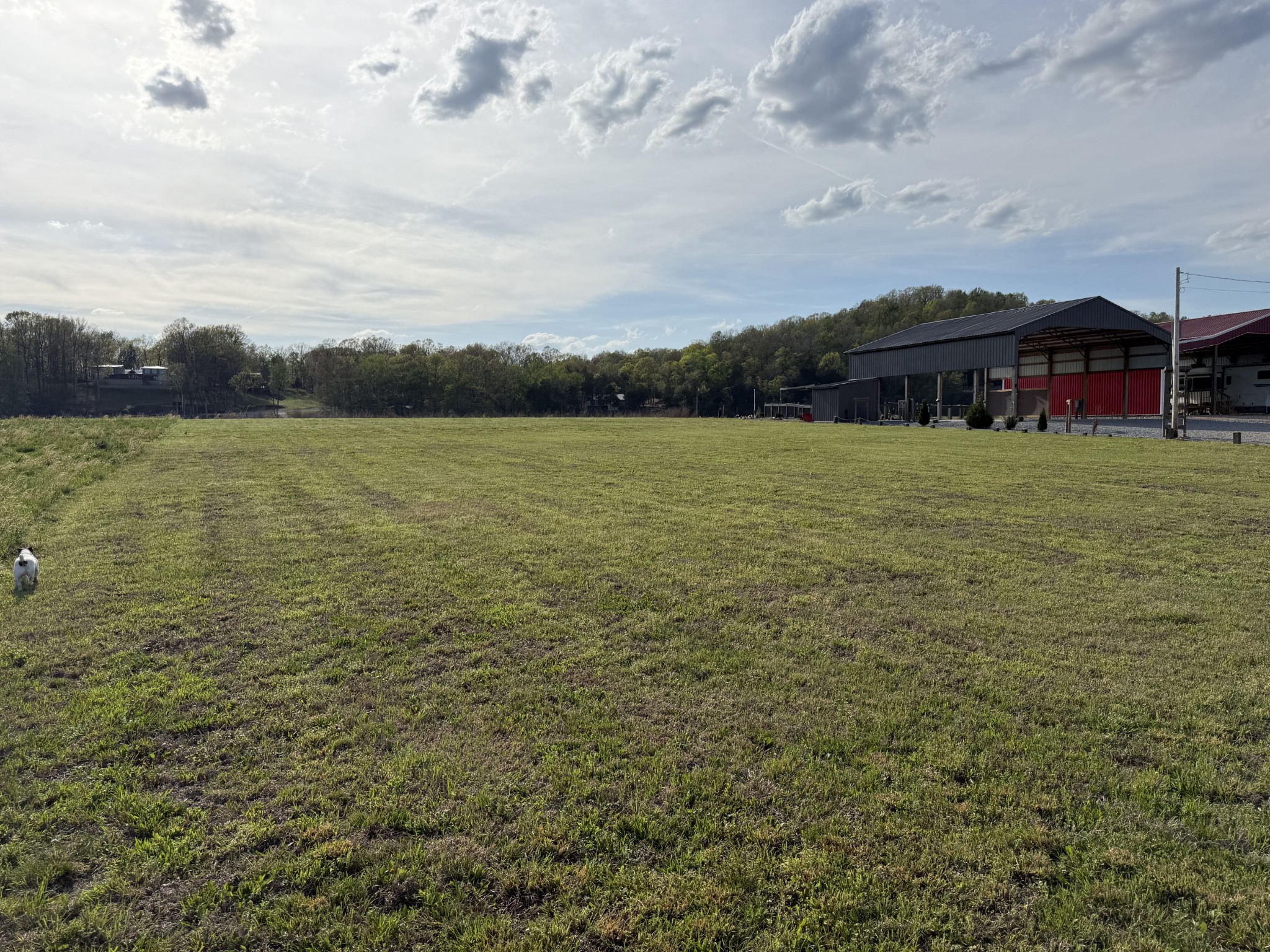 1781 Hardin Bottom River Road Clifton, TN 38425 - Photo 20 of 21