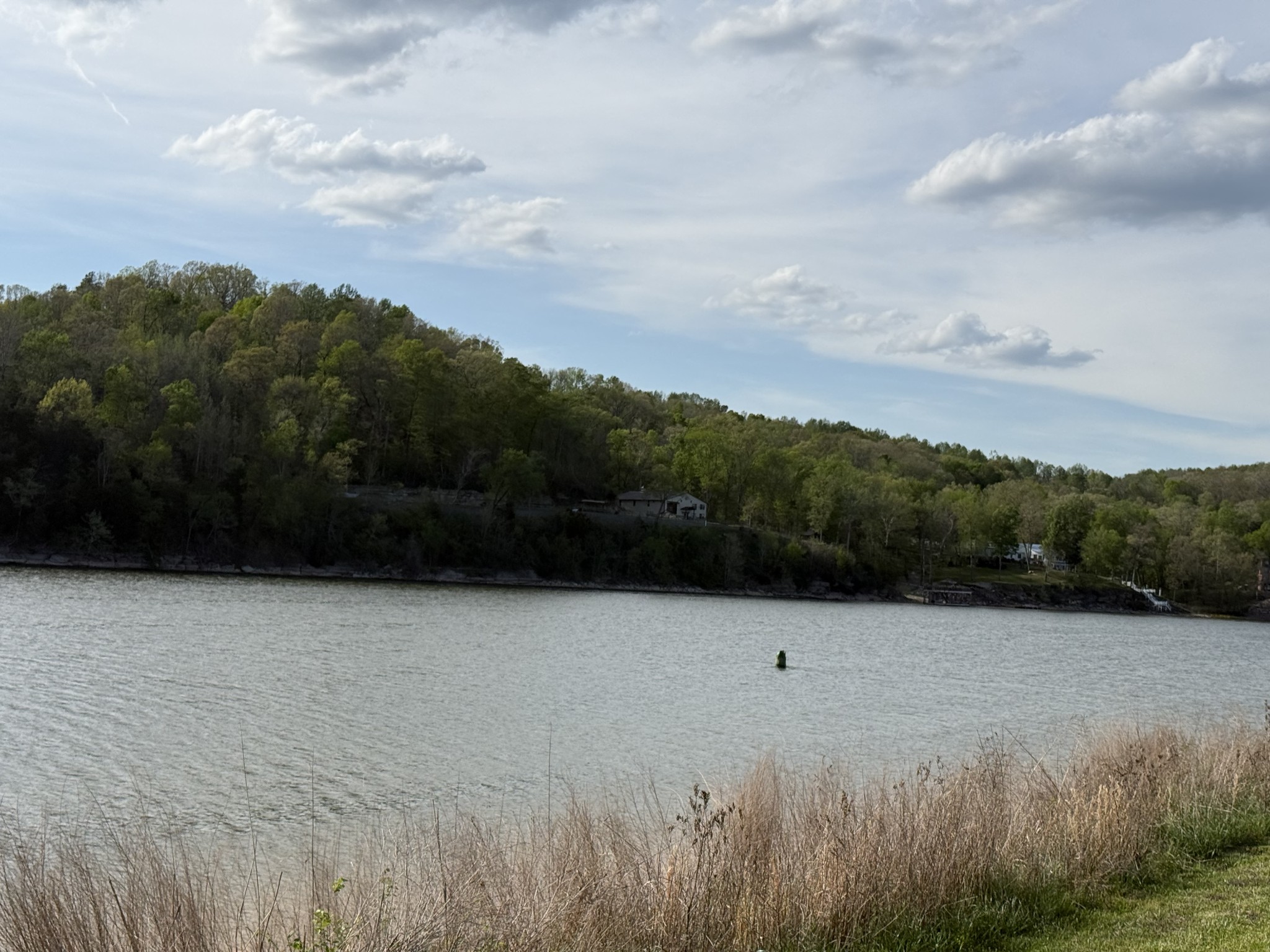 1781 Hardin Bottom River Road Clifton, TN 38425 - Photo 2 of 21