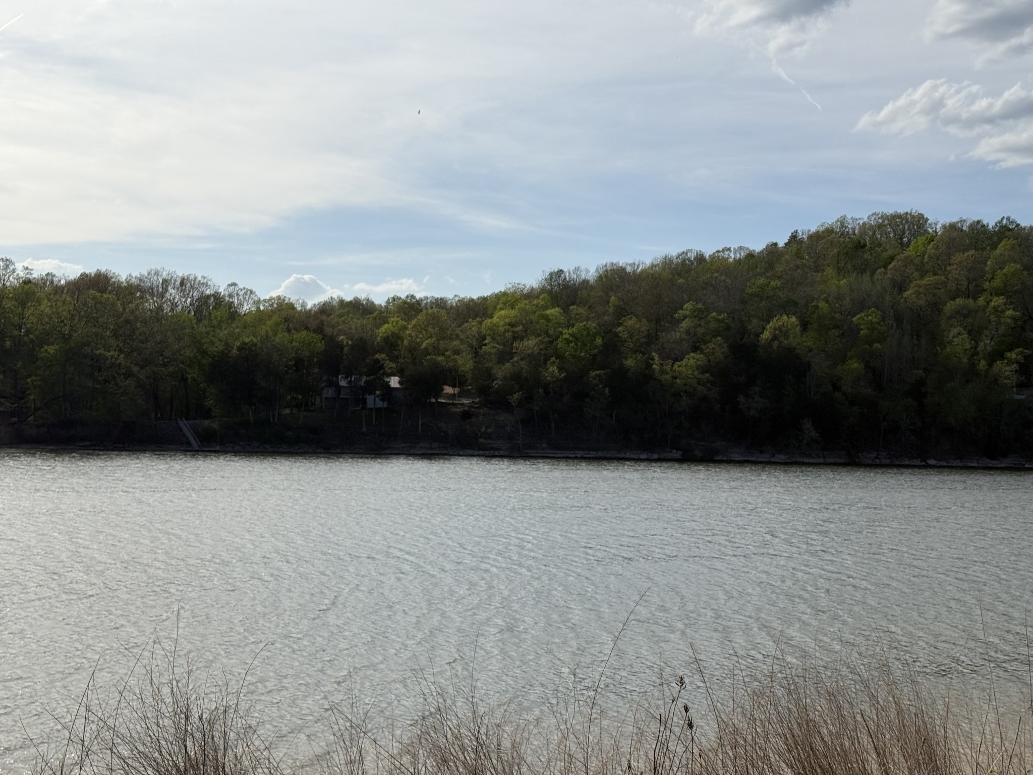 1781 Hardin Bottom River Road Clifton, TN 38425 - Photo 4 of 21