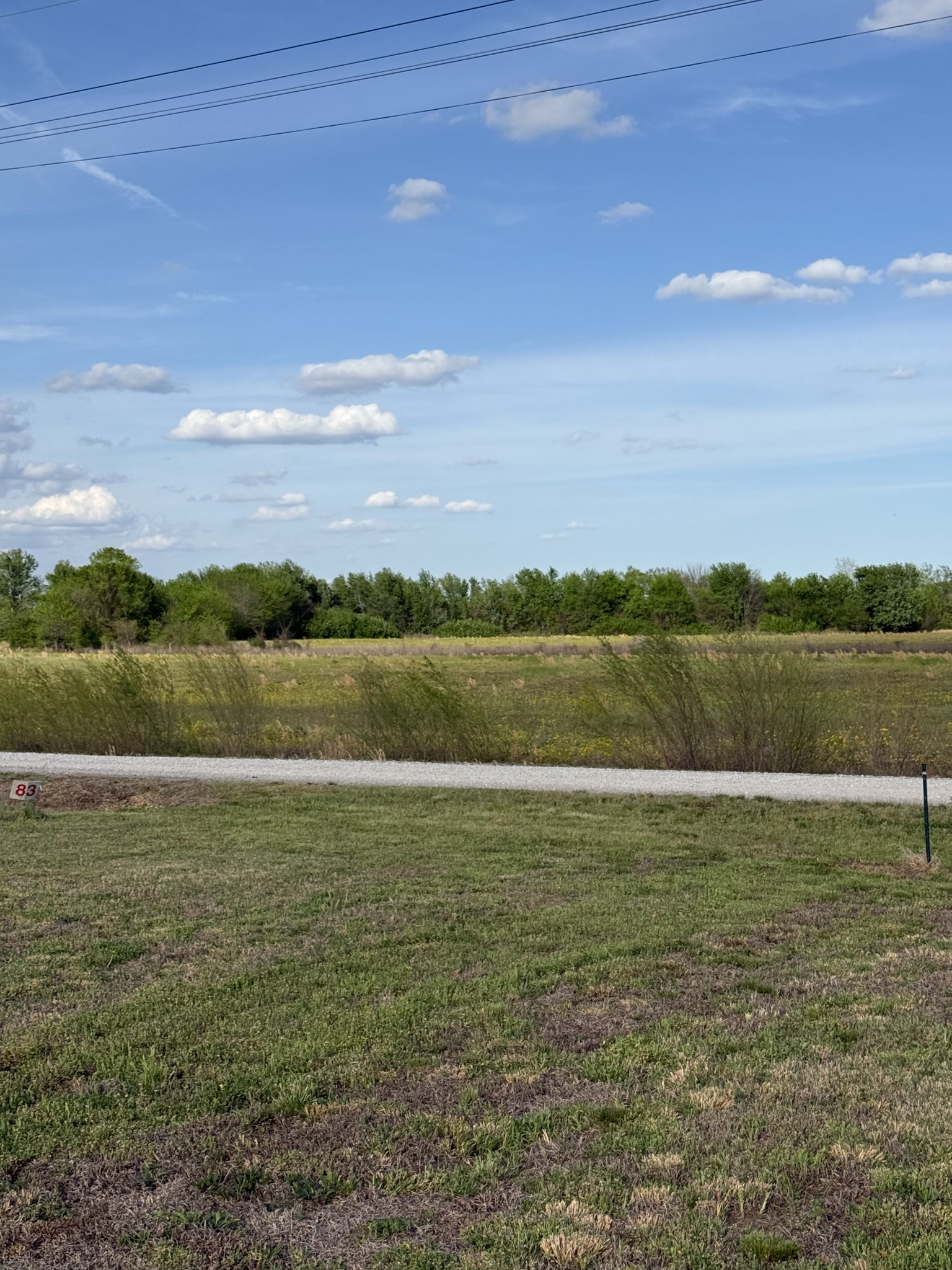 1781 Hardin Bottom River Road Clifton, TN 38425 - Photo 7 of 21