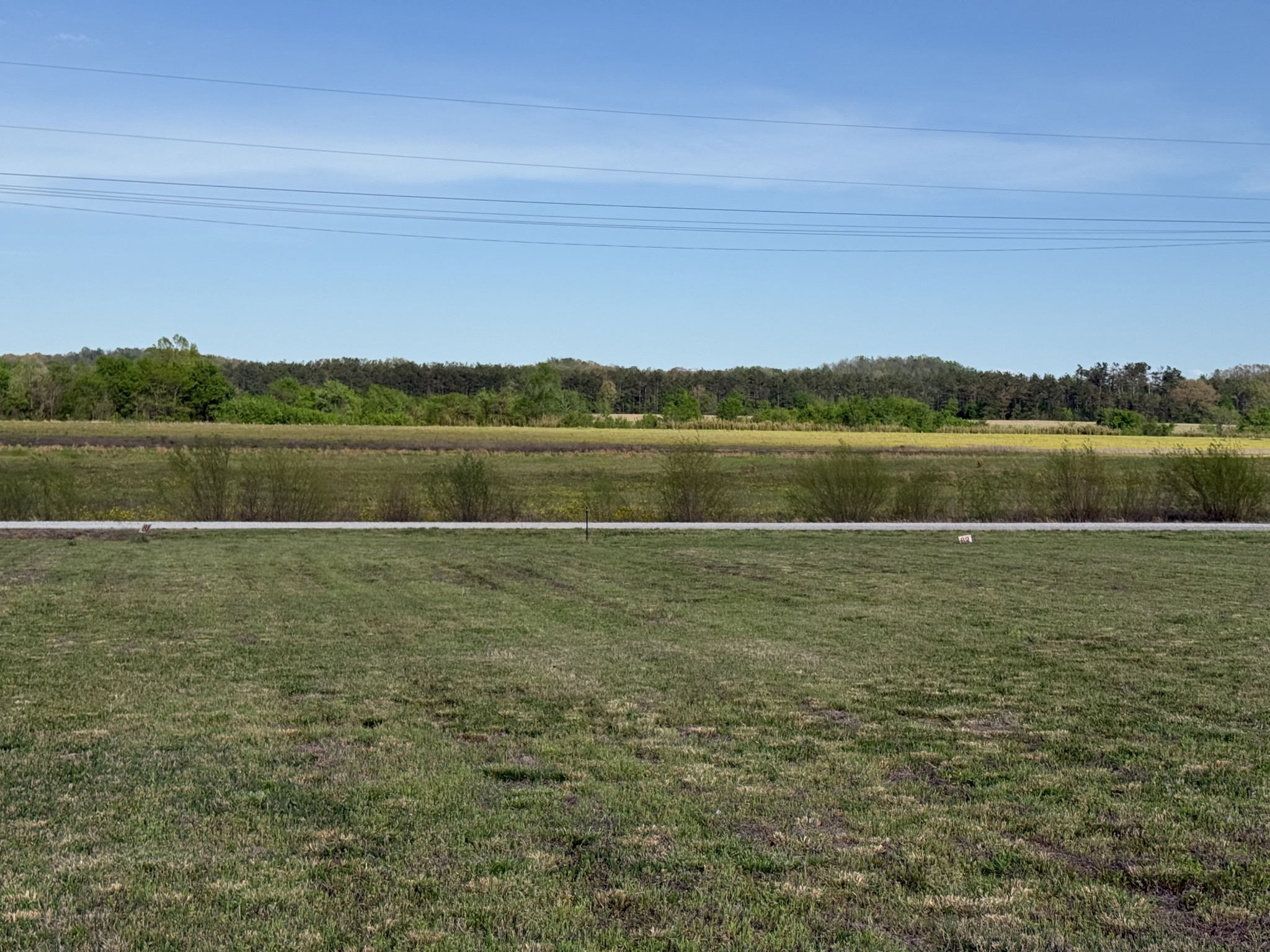 1781 Hardin Bottom River Road Clifton, TN 38425 - Photo 8 of 21