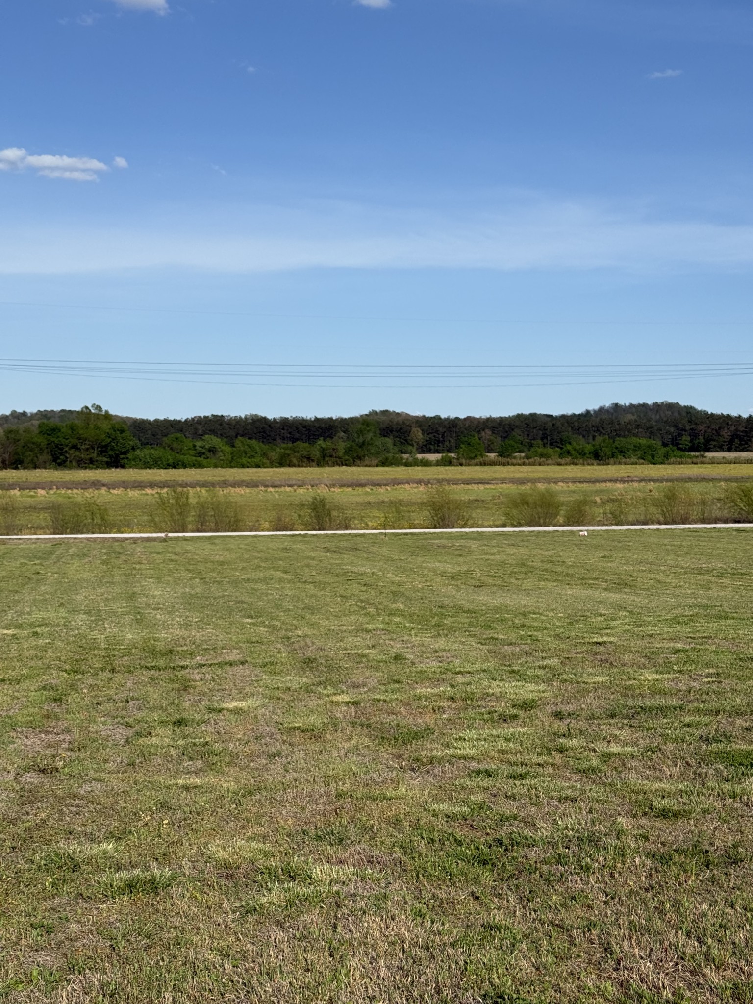 1781 Hardin Bottom River Road Clifton, TN 38425 - Photo 9 of 21