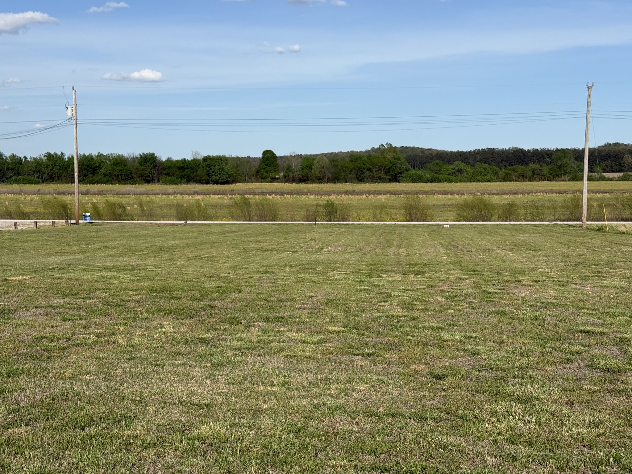 1781 Hardin Bottom River Road Clifton, TN 38425 - Photo 10 of 21