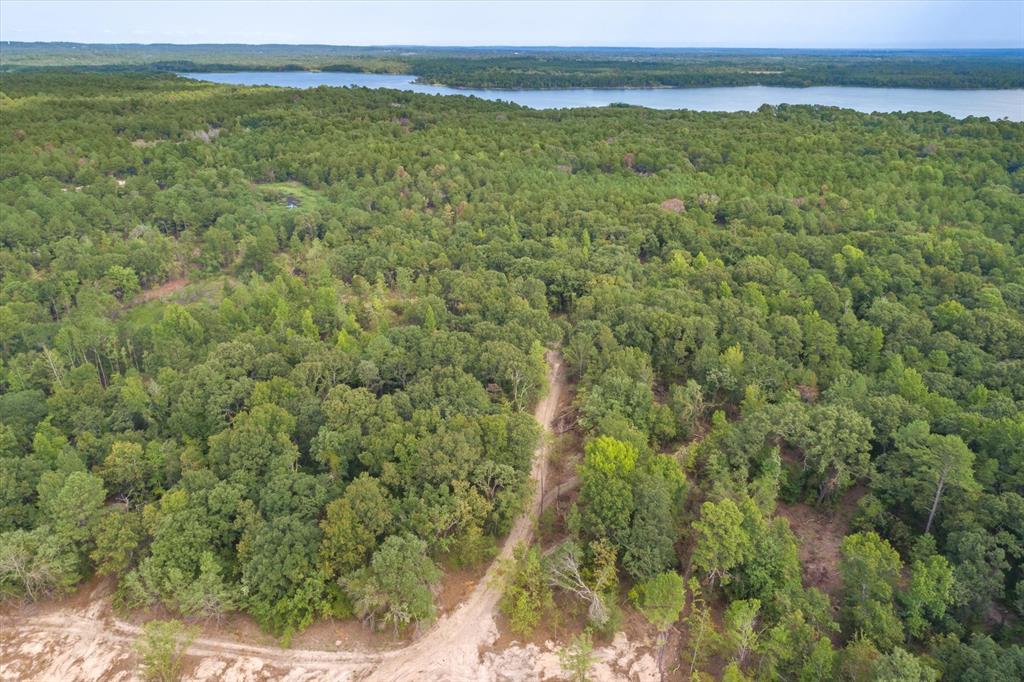4307 Rd Larue Tx 75770 Road Larue, TX 75770 - Photo 12 of 17 Expansive wooded acreage featuring a cleared dirt path, mature tree canopy, and distant water bodies under a neutral sky