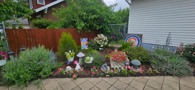 a view of a backyard