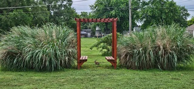 a view of yard from a patio