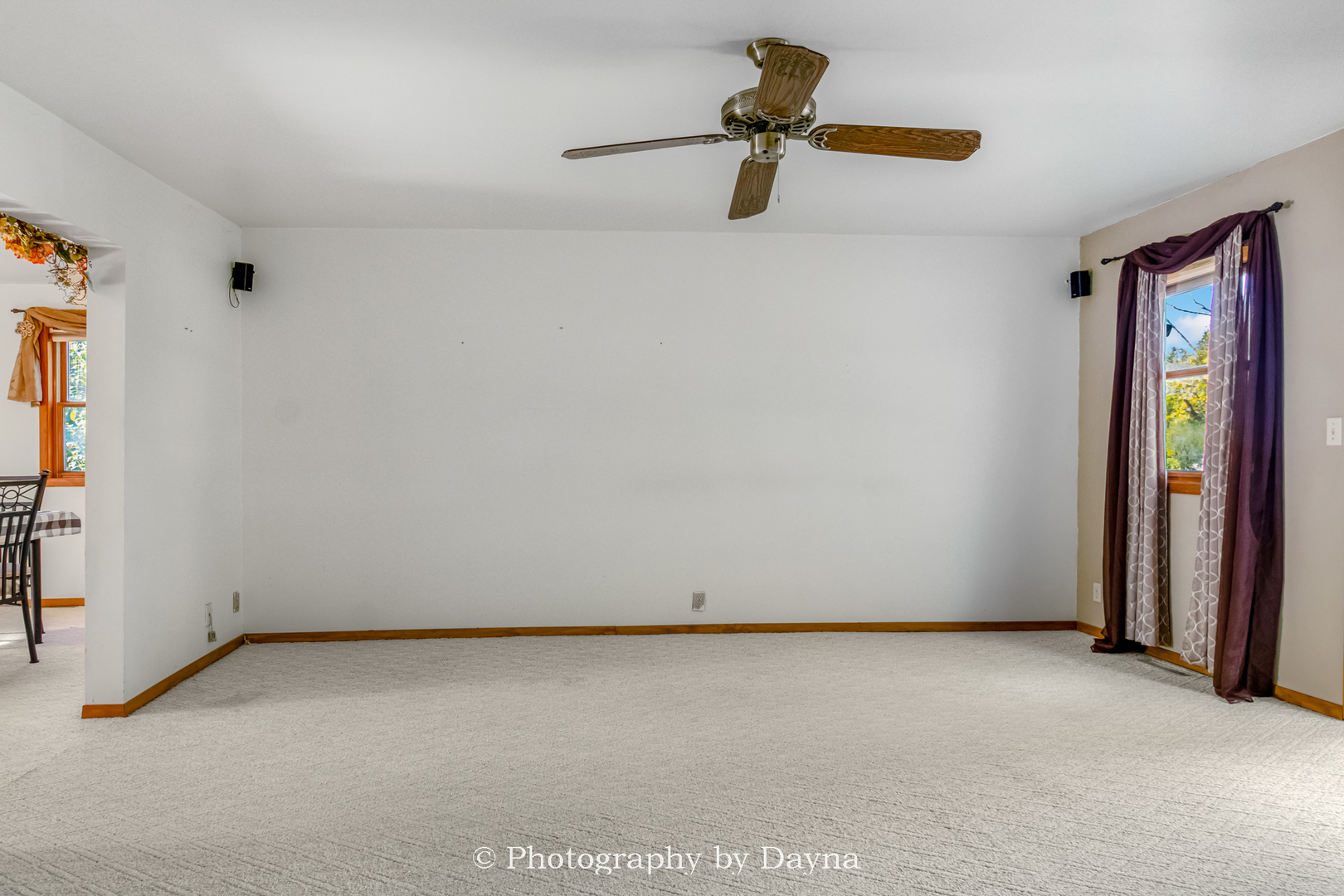 274 West Sheffield Street St. Anne, IL 60964 - Photo 7 of 32 an empty room with a ceiling fan and a window