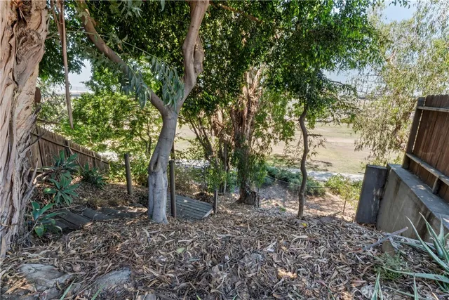 a view of a backyard with trees
