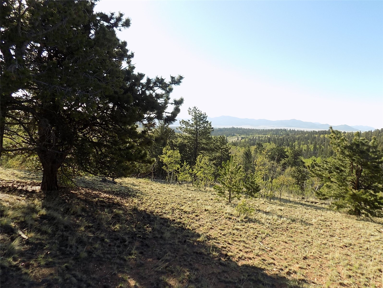 187 Osprey Road Como, CO 80432 - Photo 3 of 20 Gallery Image 3