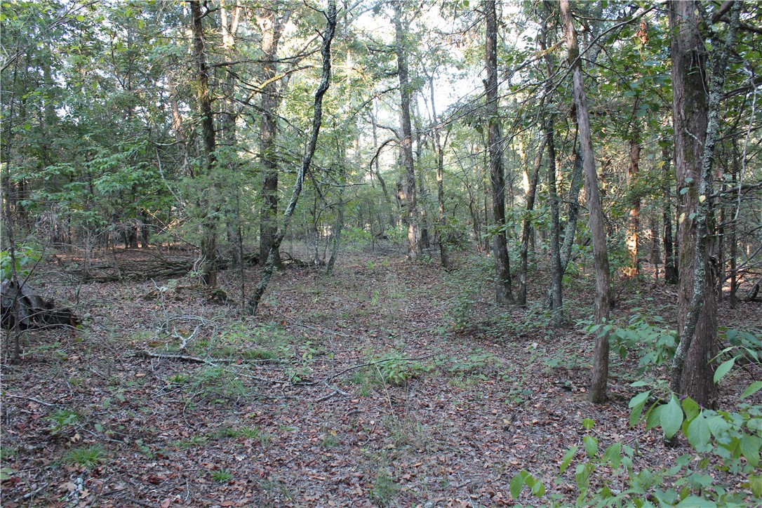 990 Mahan Drive Center Ridge, AR 72027 - Photo 25 of 31 Gallery Image 25