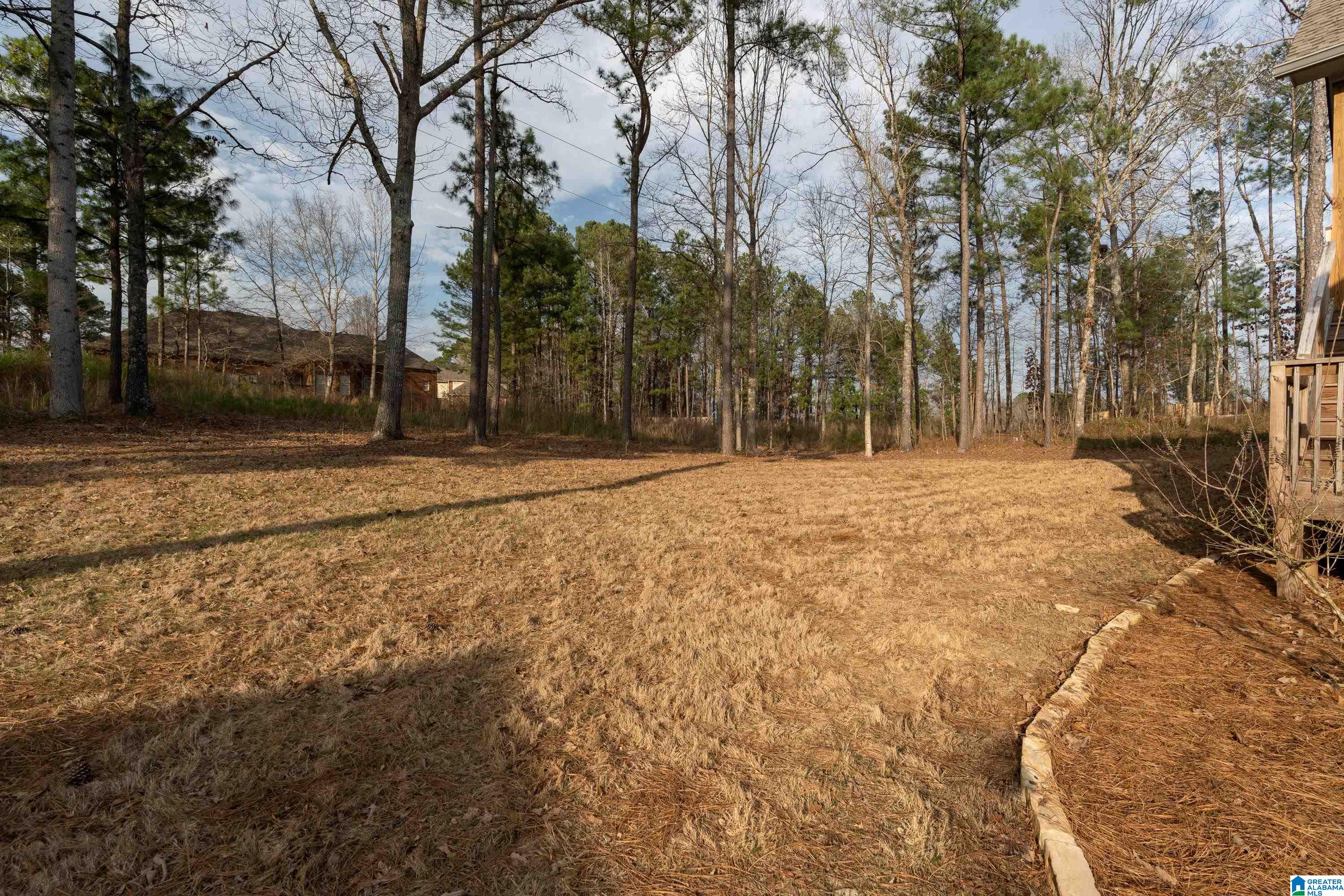 289 Woodbridge Trail Chelsea, AL 35043 - Photo 37 of 39