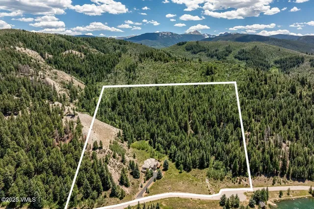 a view of a yard with plants