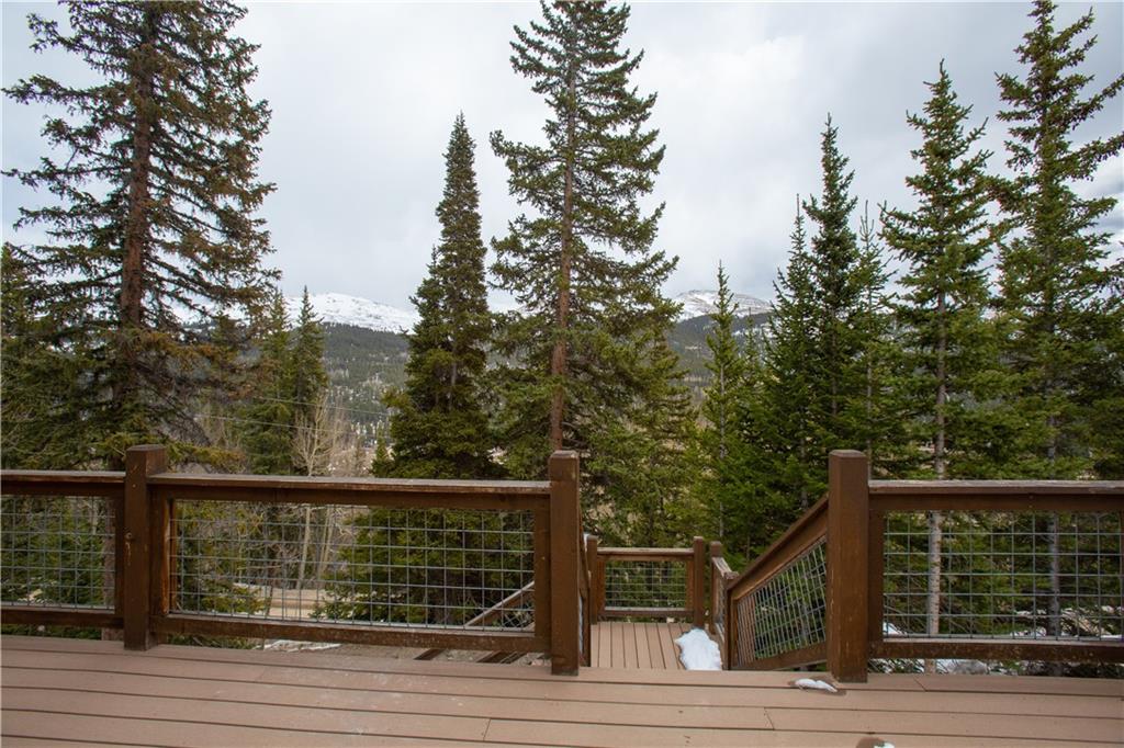 1148 Roberts Road Alma, CO 80420 - Photo 6 of 31 Gallery Image 6