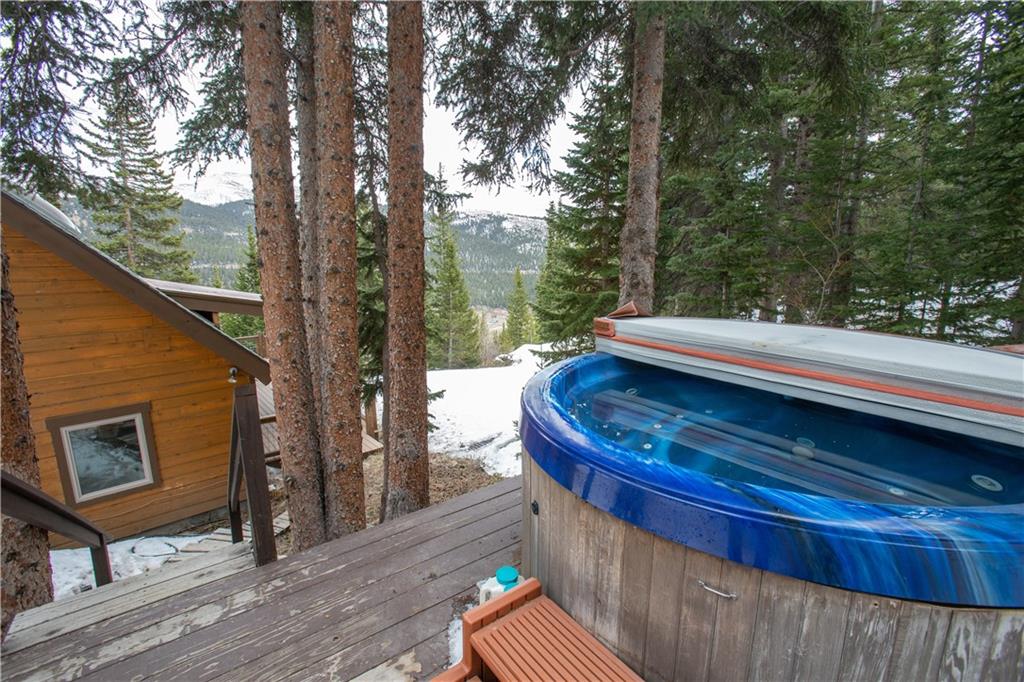 1148 Roberts Road Alma, CO 80420 - Photo 7 of 31 Gallery Image 7