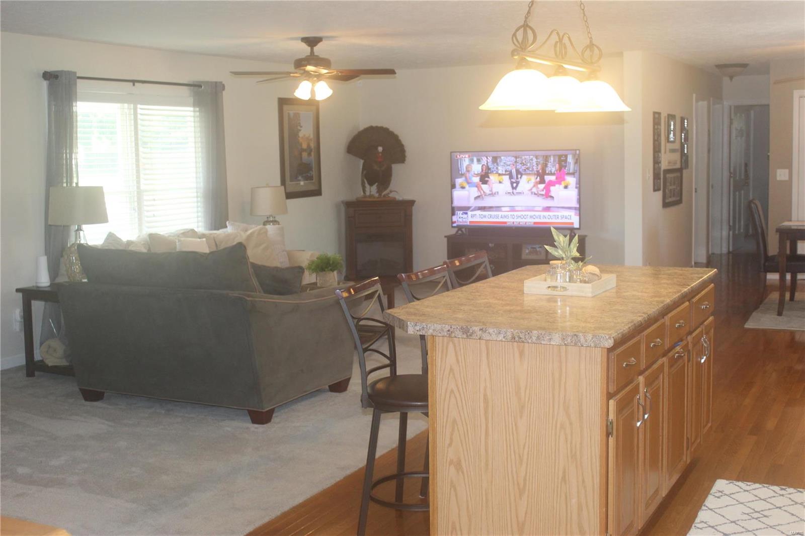 303 Republican Street Keyesport, IL 62253 - Photo 30 of 63 Gallery Image 30