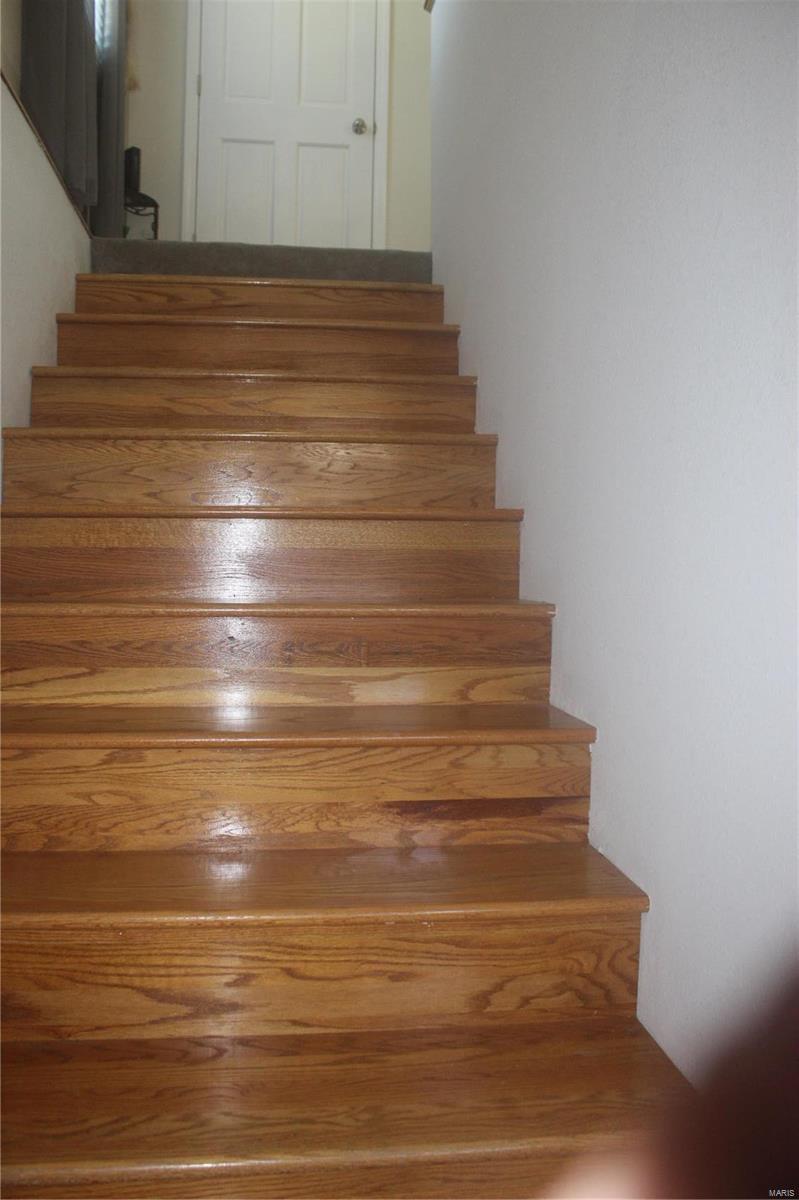 303 Republican Street Keyesport, IL 62253 - Photo 54 of 63 Gallery Image 54