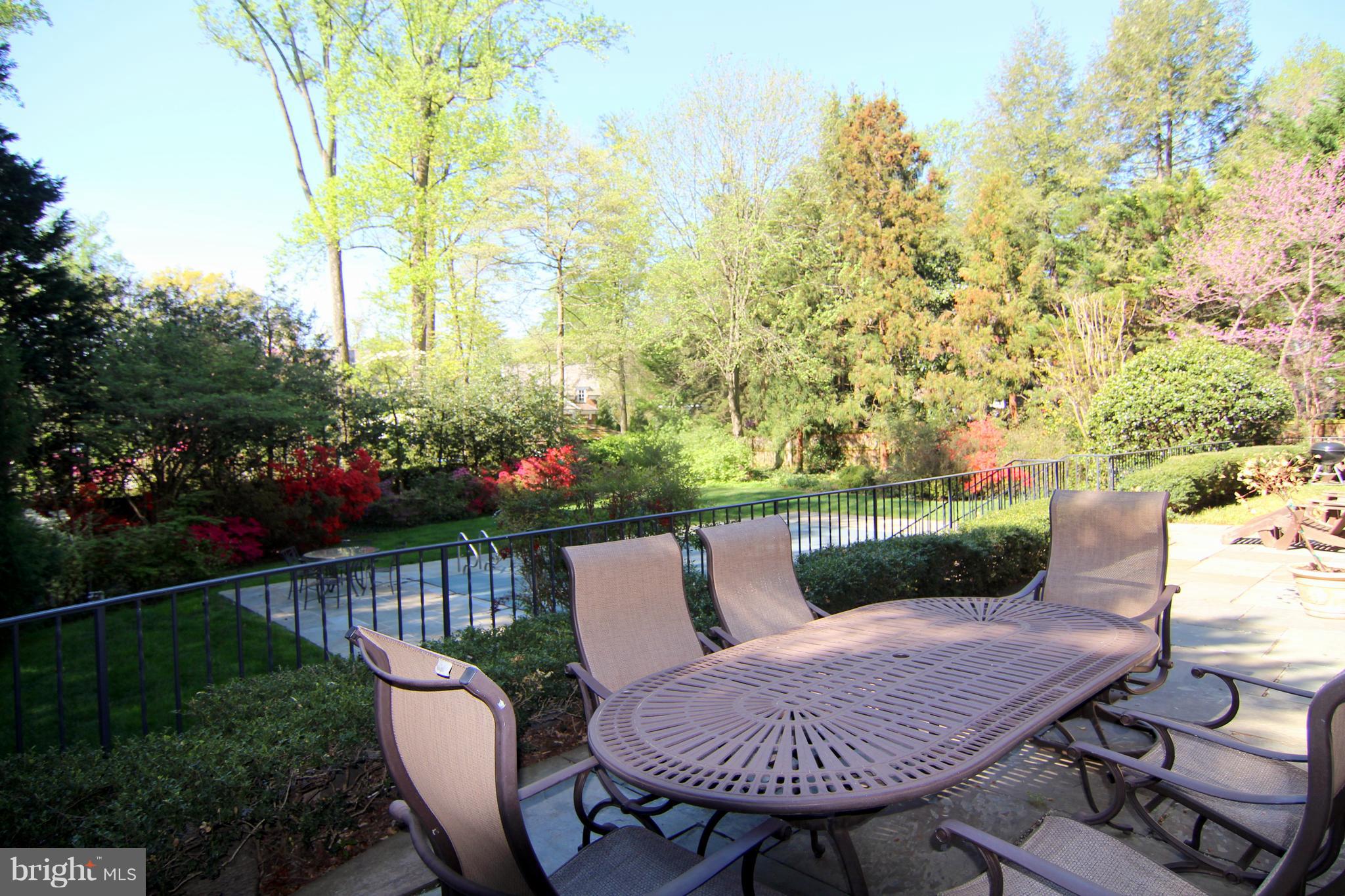 6710 Greentree Road Bethesda, MD 20817 - Photo 42 of 44 Isn't it gorgeous in Spring?