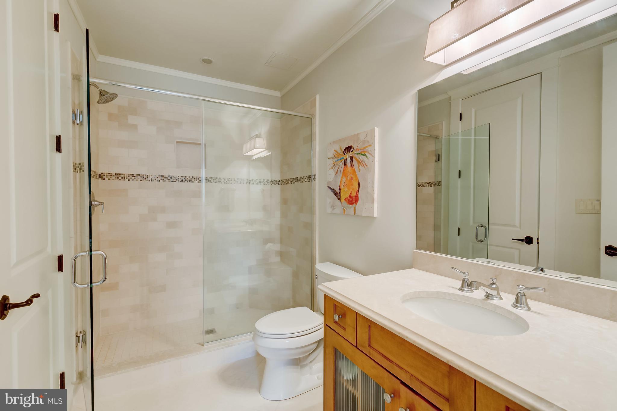 16650 Remare Road Monkton, MD 21111 - Photo 49 of 63 Lower Level Bath