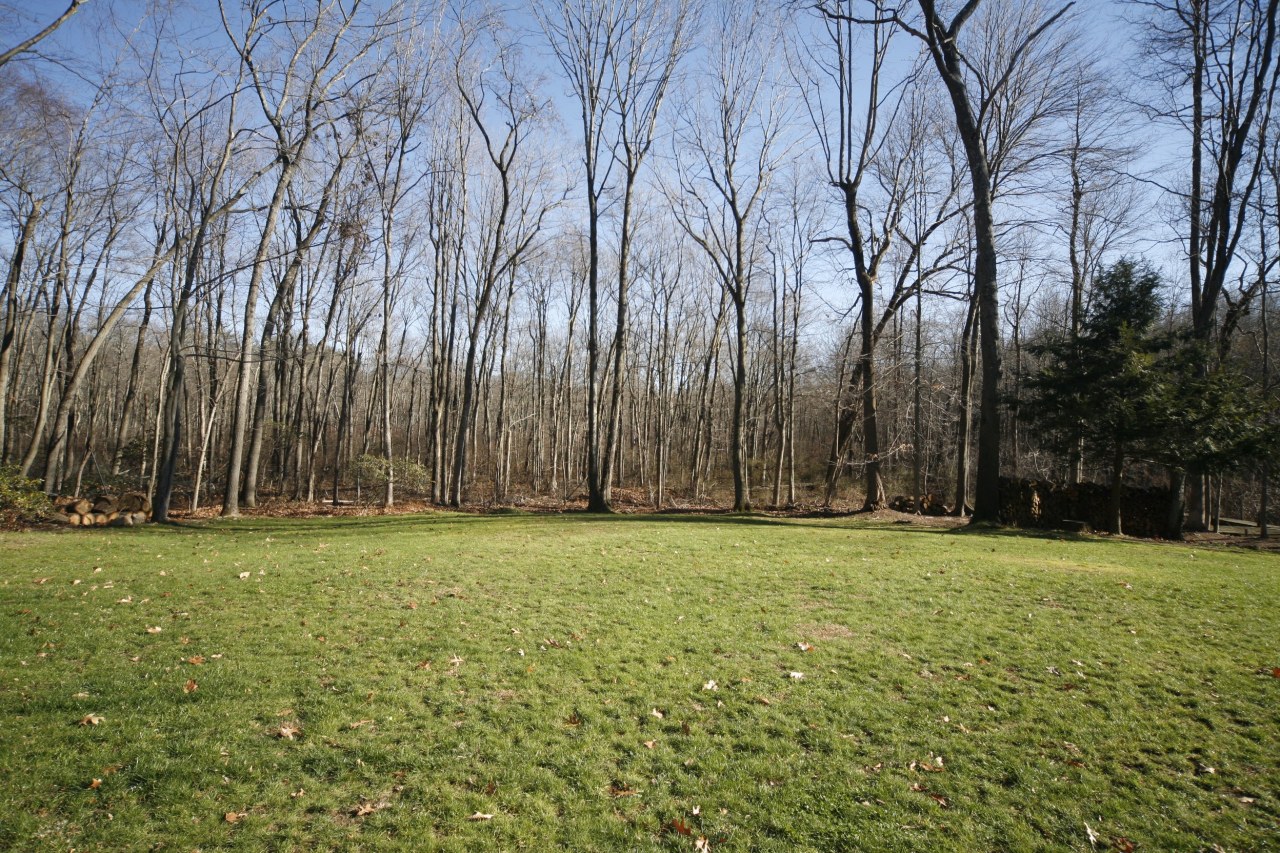 51 Journeys End Road New Canaan, CT 06840 - Photo 16 of 17 a backyard of apartments with large trees