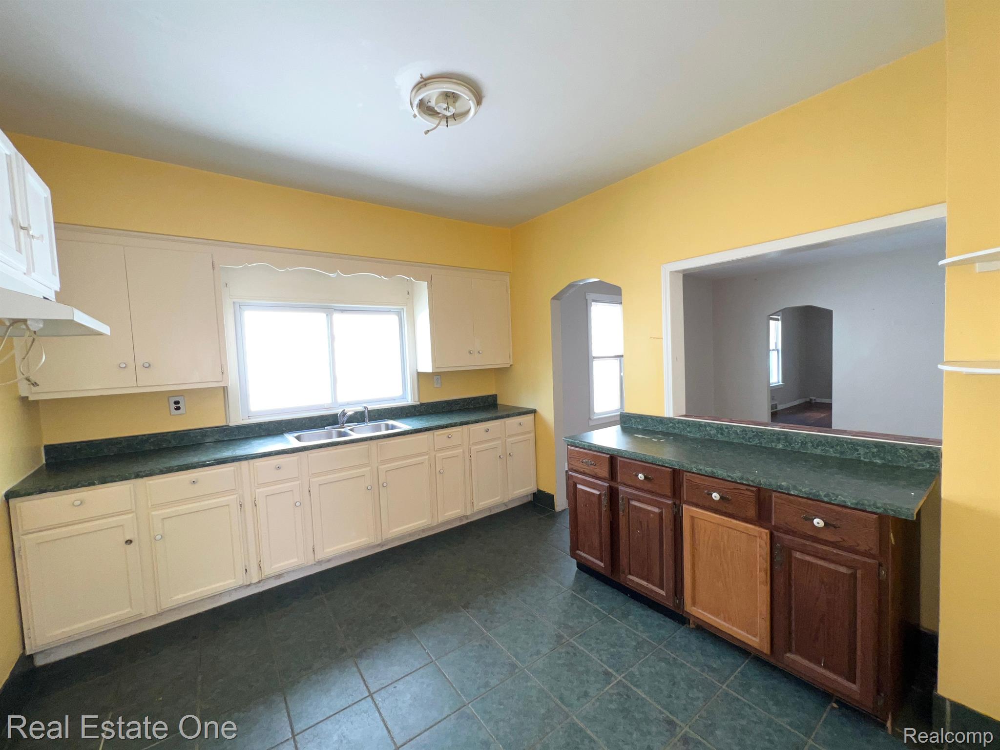 4511 Springwells Street Detroit, MI 48210 - Photo 9 of 18 KITCHEN