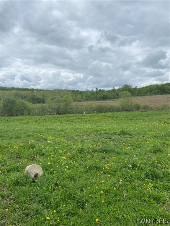 4209 Telegraph Road Eagle, NY 14024 - Photo 27 of 44