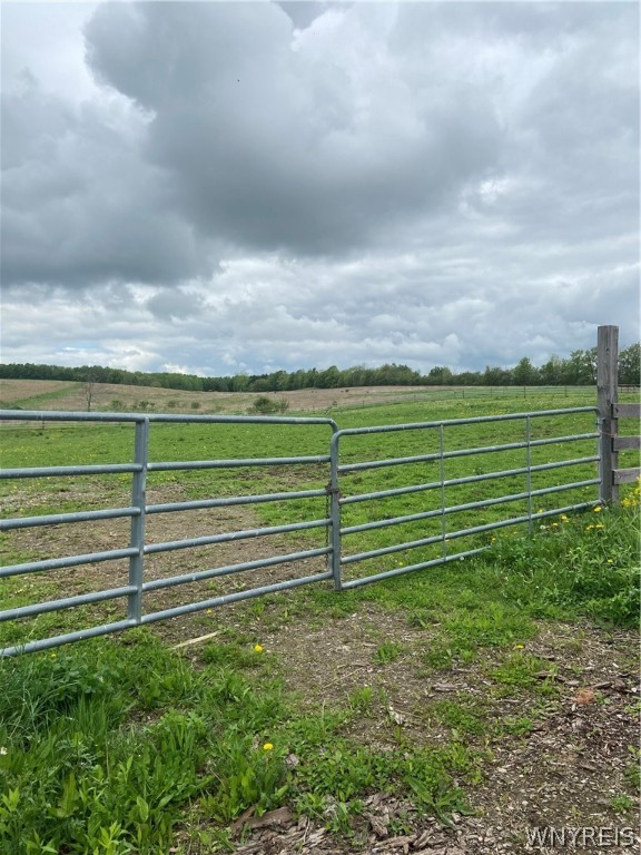 4209 Telegraph Road Eagle, NY 14024 - Photo 32 of 44