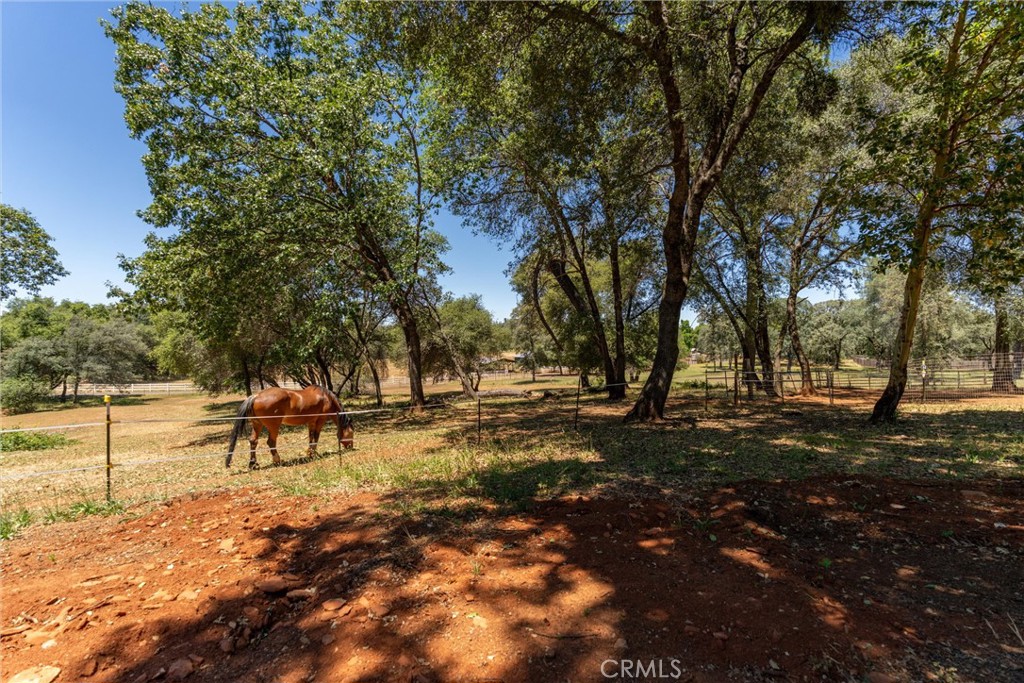 3463 Cherokee Road Oroville, CA 95965 - Photo 28 of 35