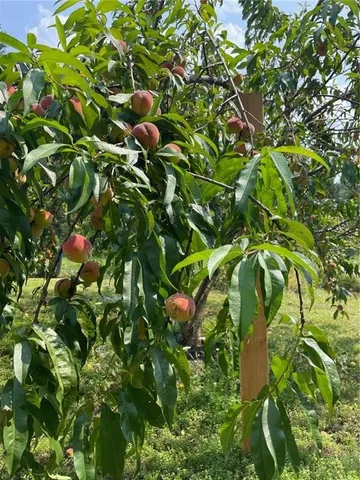 $184,000 | 841 Lower Cadosia Road, Hancock, NY 13783