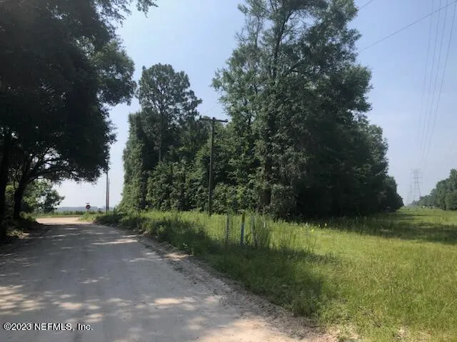 a view of a lush green forest