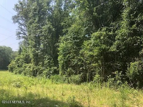 a view of yard from a window