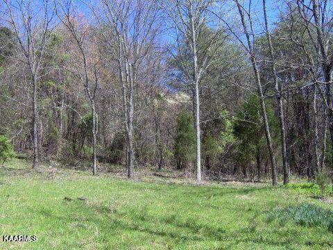 Lea Lakes Road Blaine, TN 37709 - Photo 1 of 15 1179455_0_iVYz3f_p