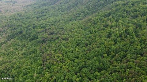 Lea Lakes Road Blaine, TN 37709 - Photo 11 of 15 1179455_0_MJjIbi_p