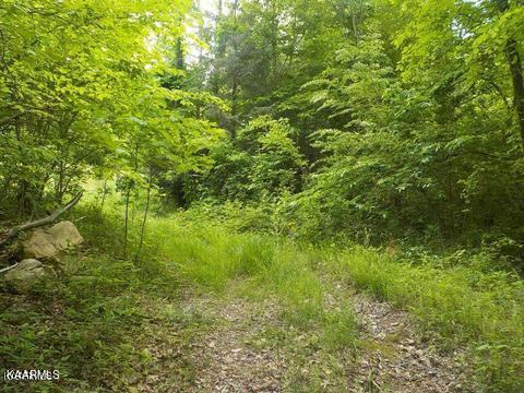 Lea Lakes Road Blaine, TN 37709 - Photo 2 of 15 1179455_0_Ni3mnn_p
