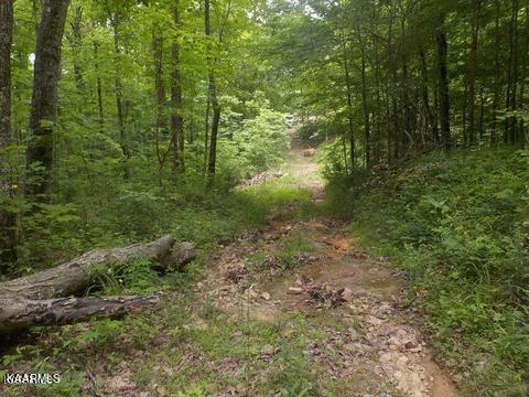 Lea Lakes Road Blaine, TN 37709 - Photo 3 of 15 1179455_0_bQQJEN_p