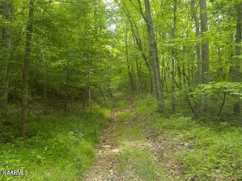 Lea Lakes Road Blaine, TN 37709 - Photo 4 of 15 1179455_0_mrzIBi_p