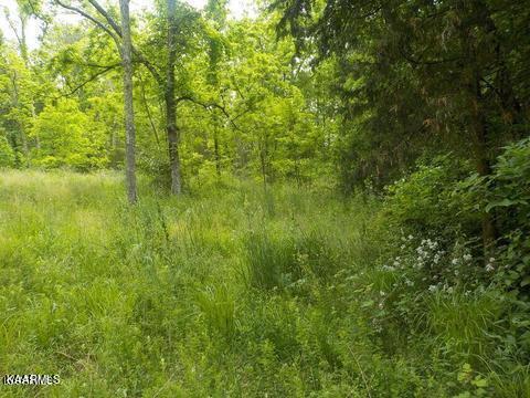 Lea Lakes Road Blaine, TN 37709 - Photo 6 of 15 1179455_0_qaQrZN_p