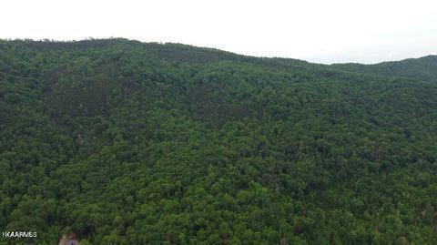 Lea Lakes Road Blaine, TN 37709 - Photo 7 of 15 1179455_0_JEb2AV_p