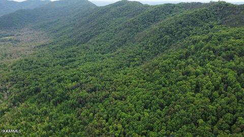 Lea Lakes Road Blaine, TN 37709 - Photo 10 of 15 1179455_0_qjvvRi_p