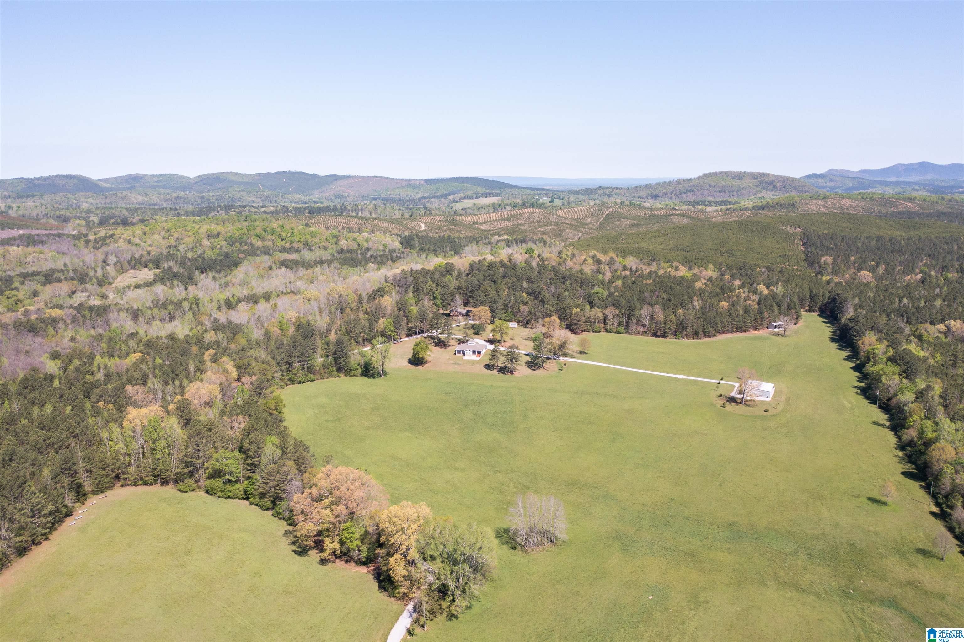 2741 Possum Trot Road Piedmont, AL 36272 - Photo 1 of 62