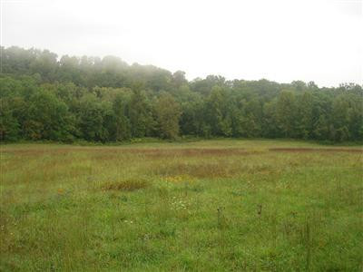 1999 Burton Williams Road Irvine, KY 40336 - Photo 44 of 47 Photo 45